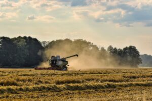 agricultural-industry-in-bangladesh